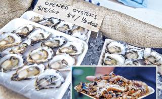 Seafood festival dives into Mallacoota in April